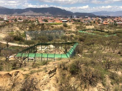 Tarija y Alajuela Unen Fuerzas para Restaurar Espacios Verdes y Combatir la Basura