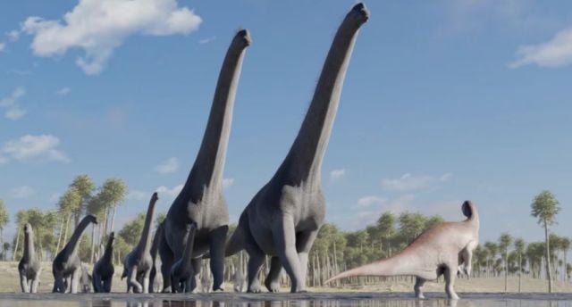 Guardería de dinosaurios descubierta en Bolivia