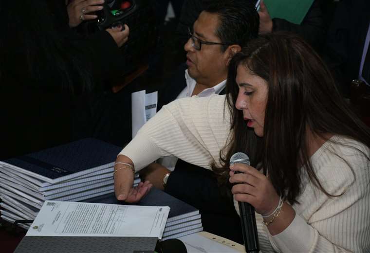 Patricia Arce (MAS-ala ‘evista’): ​reprocha fallo de magistrados del TCP