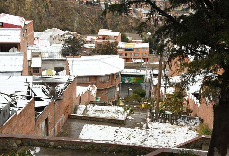 Agentes antinarcóticos destruyen 16 fábricas de cocaíana en Cochabamba