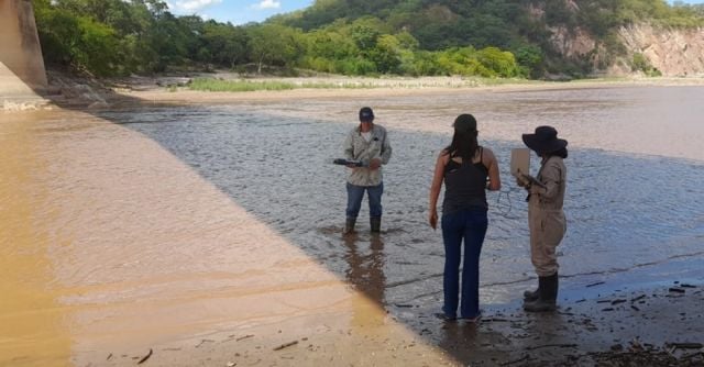 Presencia de metales pesados en el río Pilcomayo
