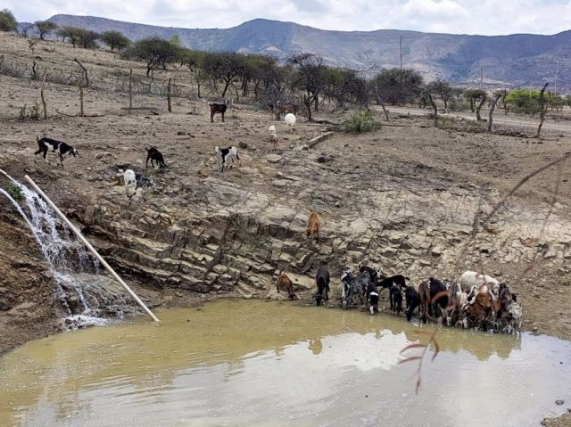 El Gobierno alista plan contra la sequía en Bolivia