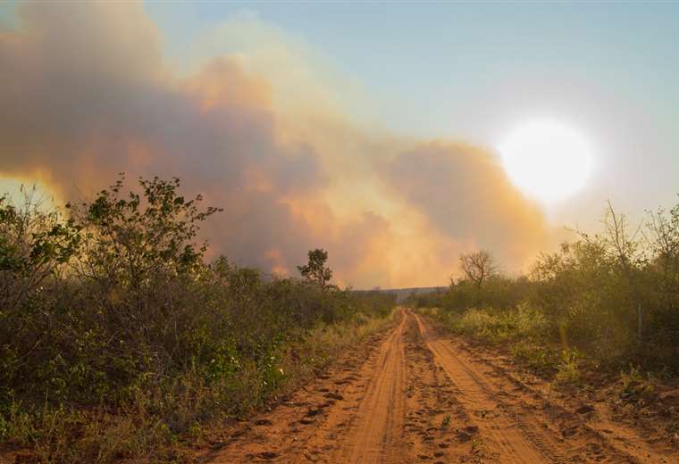 Medio Ambiente de la Gobernación recorre municipios de Santa Cruz para evaluar daños de incendios forestales