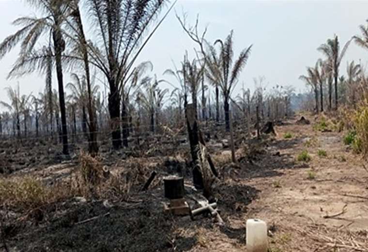 Policía aprehende a dos hombres acusados de incendiar cinco hectáreas en el Beni