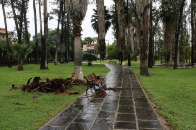 Presentan Proyecto de Ley para crear Centro Paleontológico en Tarija