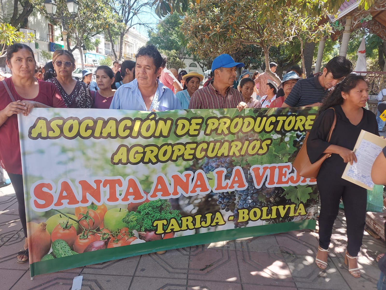 Productores de uva de Santa Ana La Vieja piden ser incluidos en La Ruta del Vino