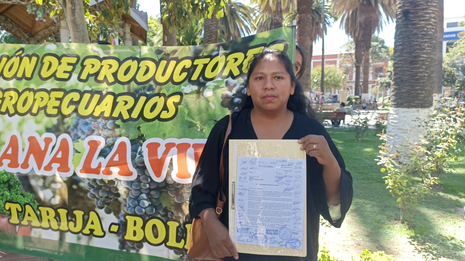 Productores agrícolas de Santa Ana la Vieja solicitan zonificación de su zona de producción de uva