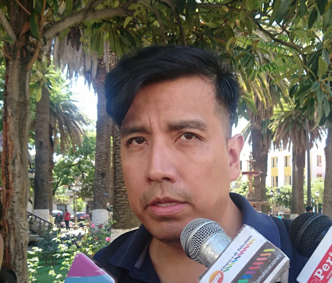 Presidente del Colegio de Economistas de Tarija advierte sobre la desaceleración económica en el departamento
