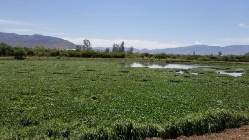 “Fedjuve priorizará construcción de planta de tratamiento de aguas residuales en Tarija”