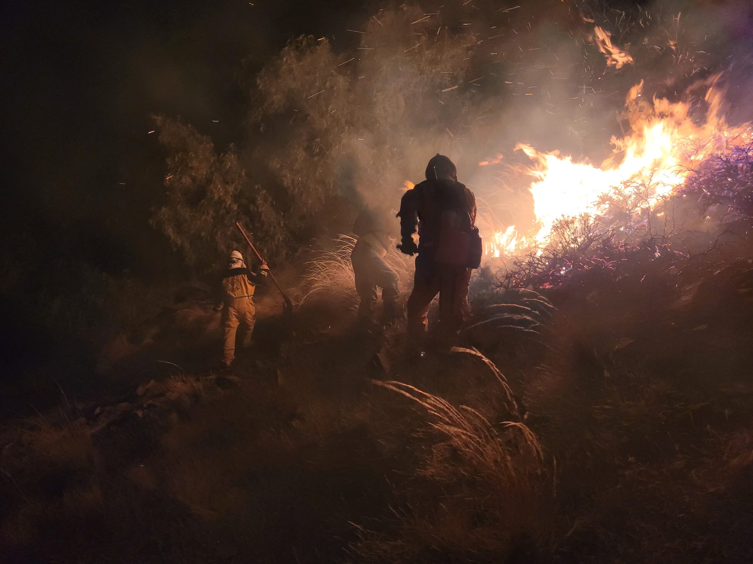 Incendio forestal en Tarija fue sofocado en su totalidad