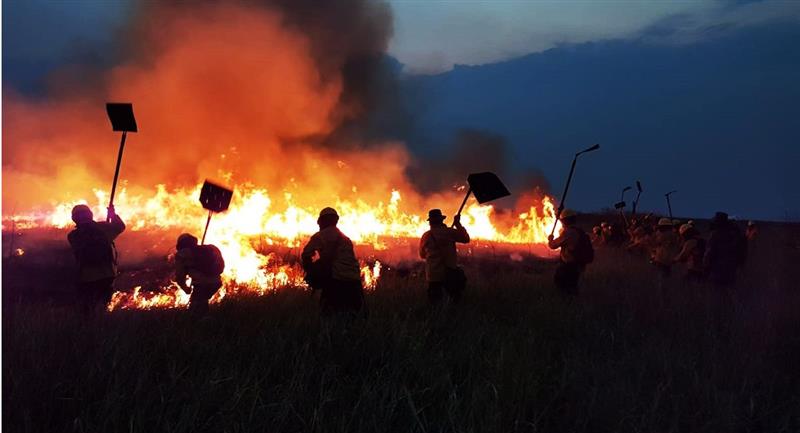 Bolivia Endurece Sanciones contra Incendios Forestales: Multas Aumentan a 950 UFV por Hectárea Afectada