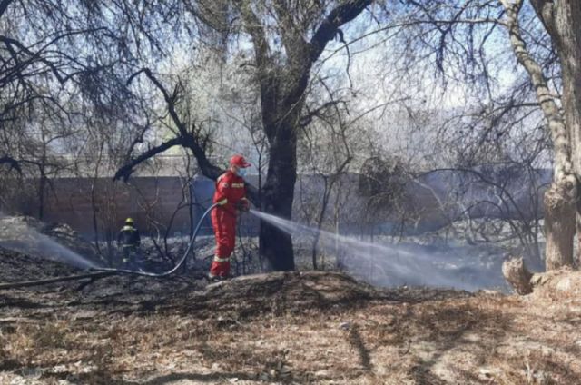 Municipio de Tarija inicia procesos legales por incendios en área urbana