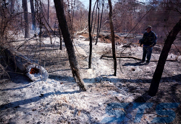 Incendios de magnitud consumen más de 200.000 hectáreas en distintos municipios de Bolivia.