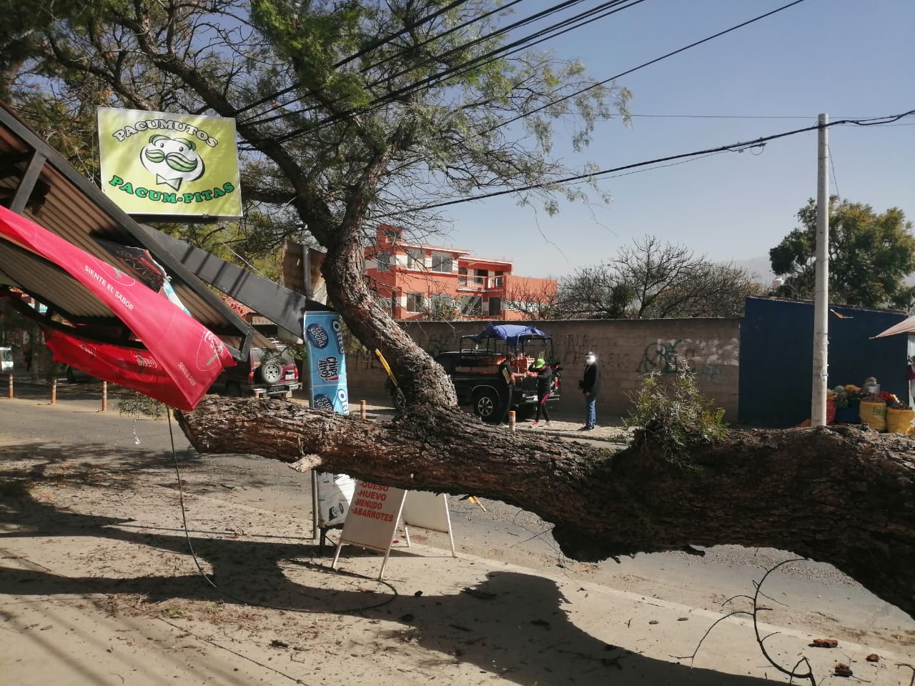 Alerta por fuertes vientos en Tarija