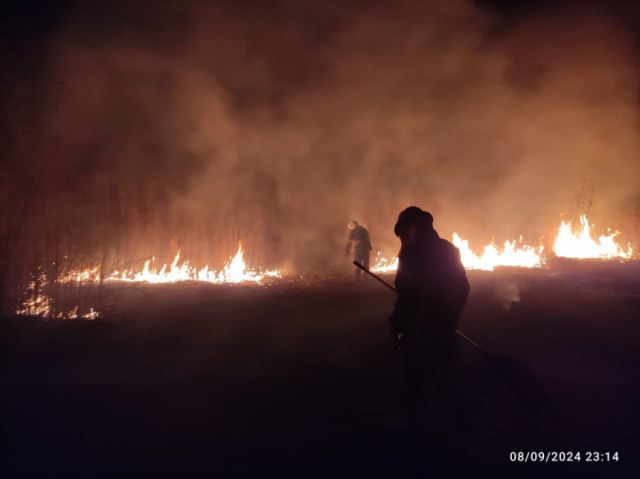 Bomberos Controlan Incendio Forestal en Yacuiba y Alertan sobre Riesgos Ambientales