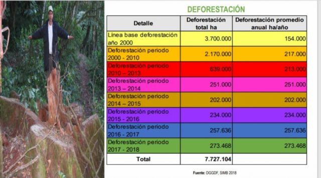 **Alarmante Pérdida de Bosques en el Chaco Tarijeño: Urge Actuar Contra la Deforestación**