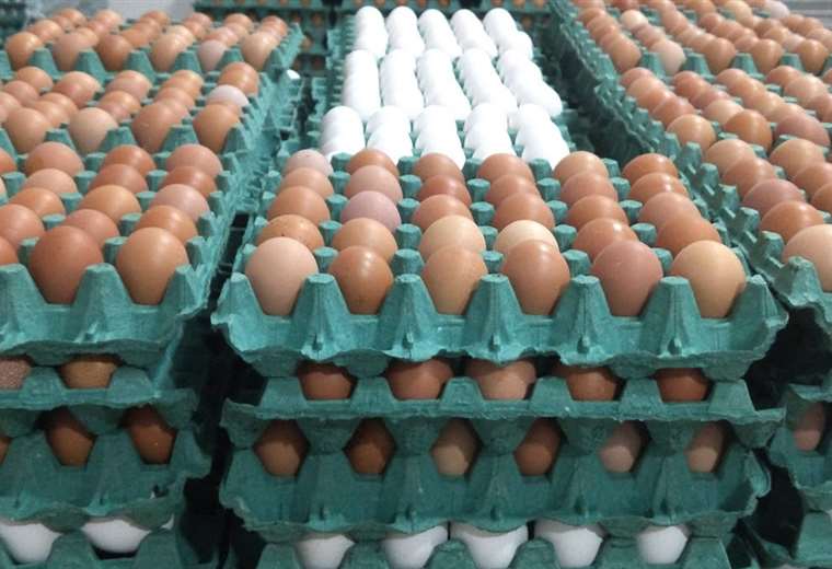 Bolivia Produce 2.700 Millones de Huevos Anuales: Santa Cruz Lidera el Mercado y Promueve su Consumo Nutricional