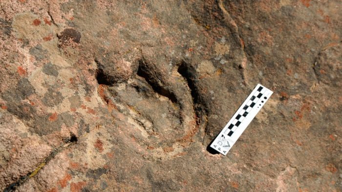 Tarija Lanzará el Parque ‘Tierra de Gigantes’: Un Nuevo Destino Cultural y Turístico para Descubrir la Historia Natural