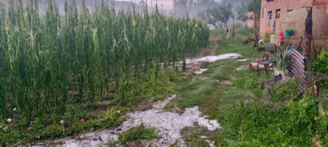 Tormenta en Tarija: Granizo Devasta Cultivos y Causa Inundaciones en la Ciudad