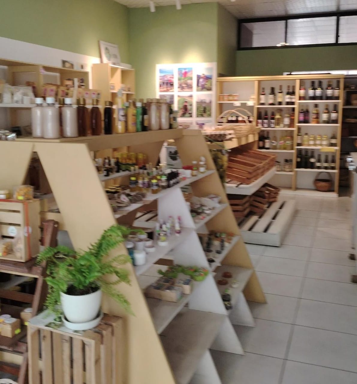 Alma Tierra: La Tienda de Tarija que Revoluciona el Consumo Agroecológico y Apoya la Producción Local