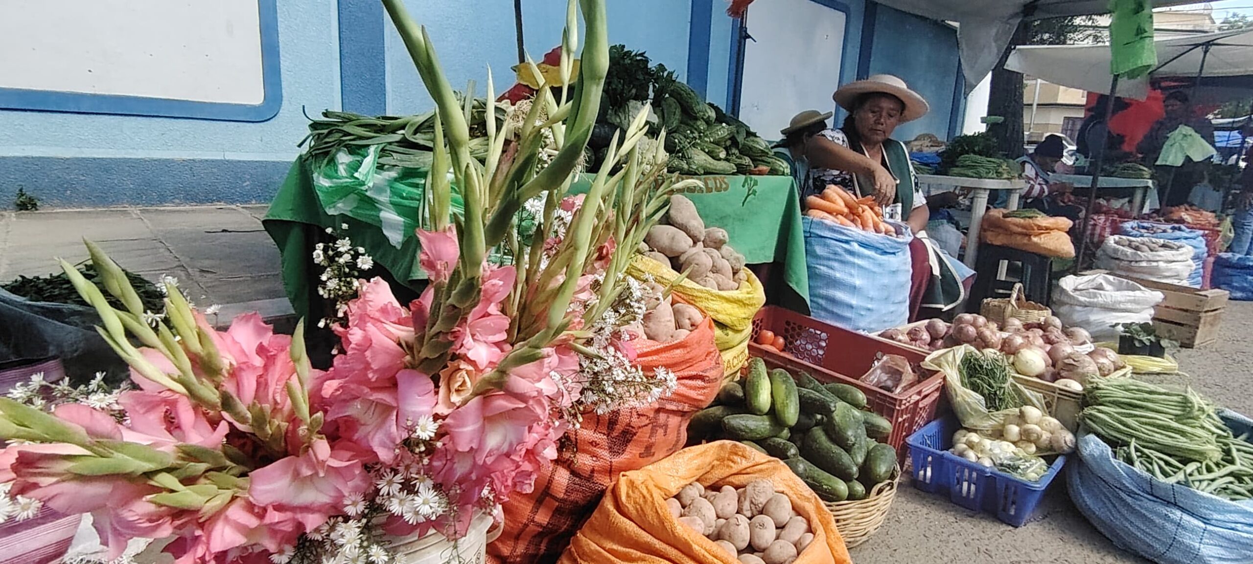 Tarija Promueve la Agroecología: Mercados Sostenibles Ofrecen Alimentos Libres de Químicos