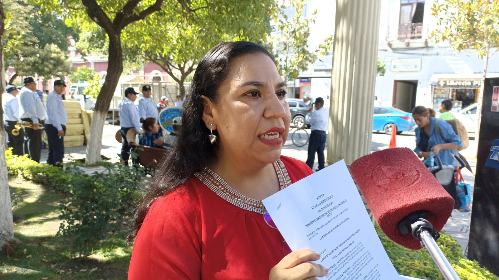 Rosa Valencia Urge a Autoridades de Tarija a Mejorar Seguridad en el Viaducto de El Campesino tras Repetidos Intentos de Suicidio