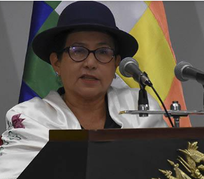 Bolivia se Prepara para las Elecciones Nacionales: Canciller Sosa Asegura Voto en el Extranjero y Proceso de Empadronamiento