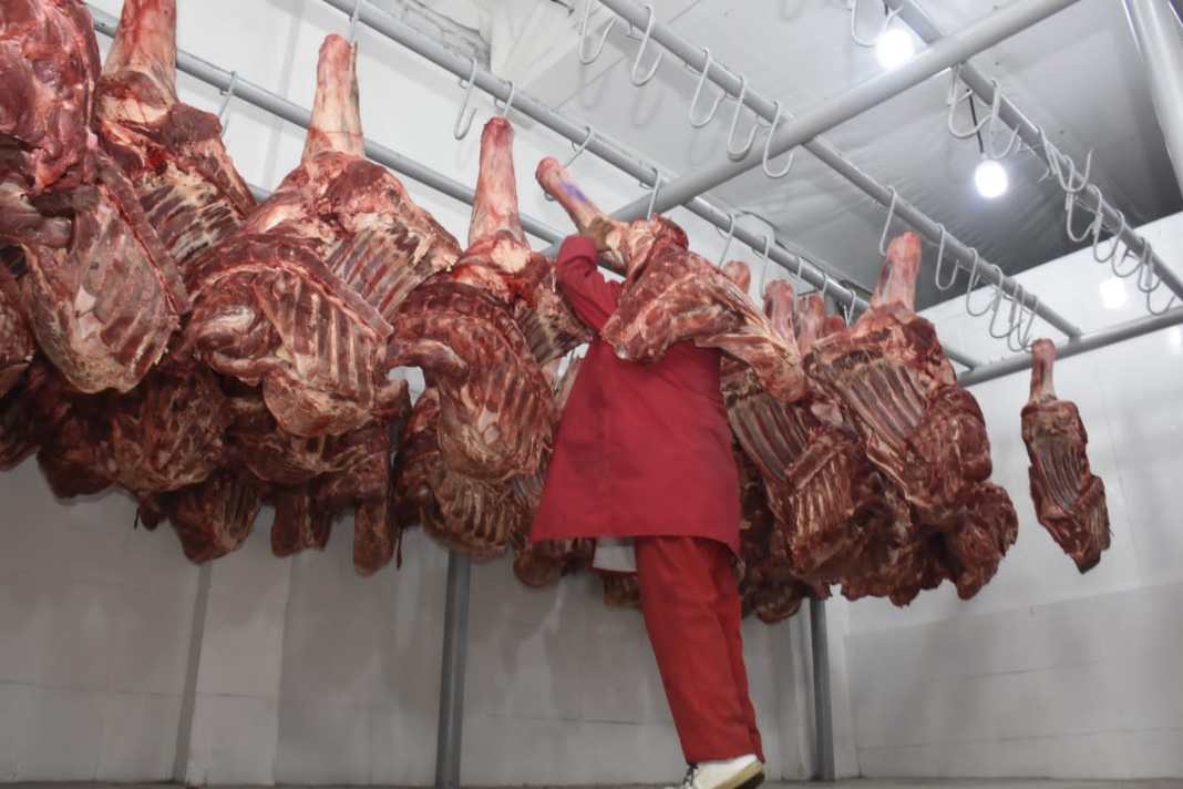 Omar Figueroa rechaza posible importación de carne argentina por alto costo en Argentina
