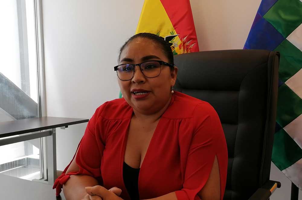 Bolivia Celebra 16 Años de Estado Plurinacional: Avances en Inclusión y Desarrollo según Diputada Lidia Tupa