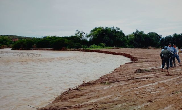 Crisis Agrícola en Tarija: Lluvias Reducen Producción de Hortalizas en un 30% y Agricultores Piden Ayuda Urgente