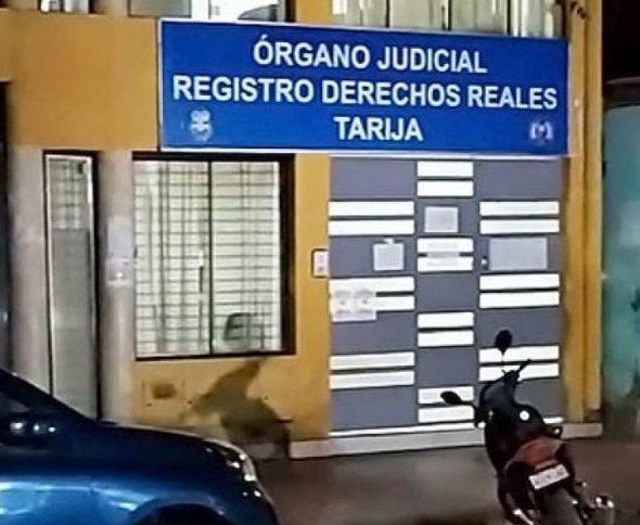 Denuncias de Irregularidades en Derechos Reales de Tarija: Diputada Esther Sánchez Investiga un Presunto Consorcio Fraudulento