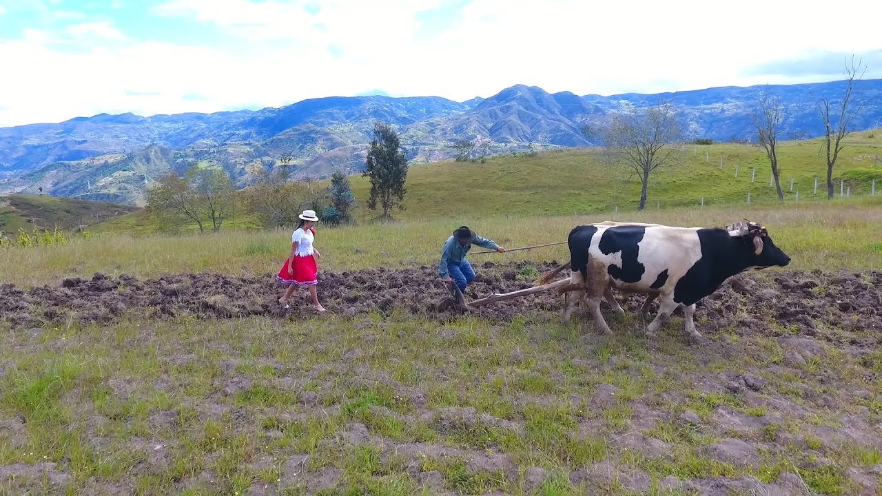 Conflicto Interno en la FSUCCT Pone en Peligro la Producción Agropecuaria y la Seguridad Alimentaria en Tarija