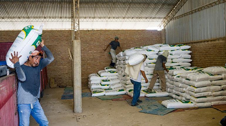 YPFB suministra 2.000 toneladas de urea para productores de arroz en Bolivia