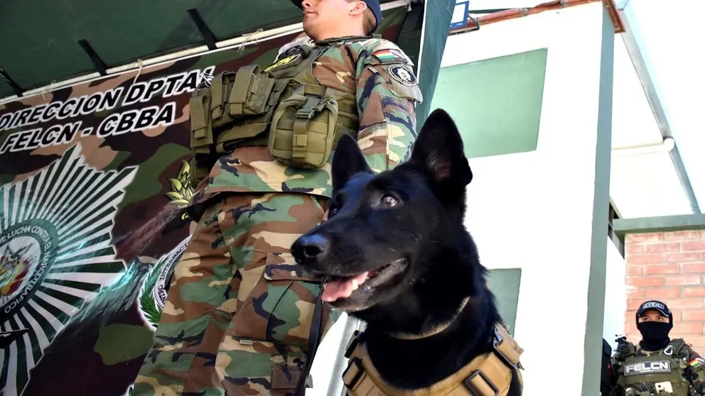 Tango, el pastor holandés que lidera la lucha contra el narcotráfico en Bolivia