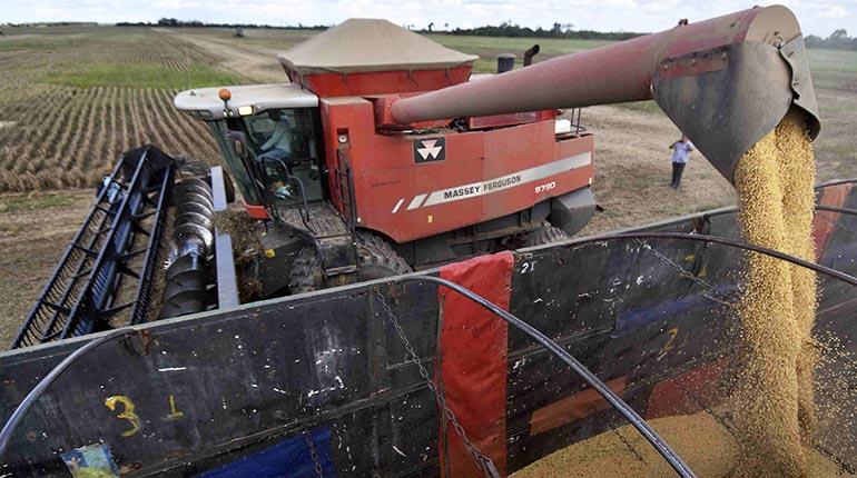 Conflicto entre Anapo y el Gobierno por exportación de soya en Bolivia