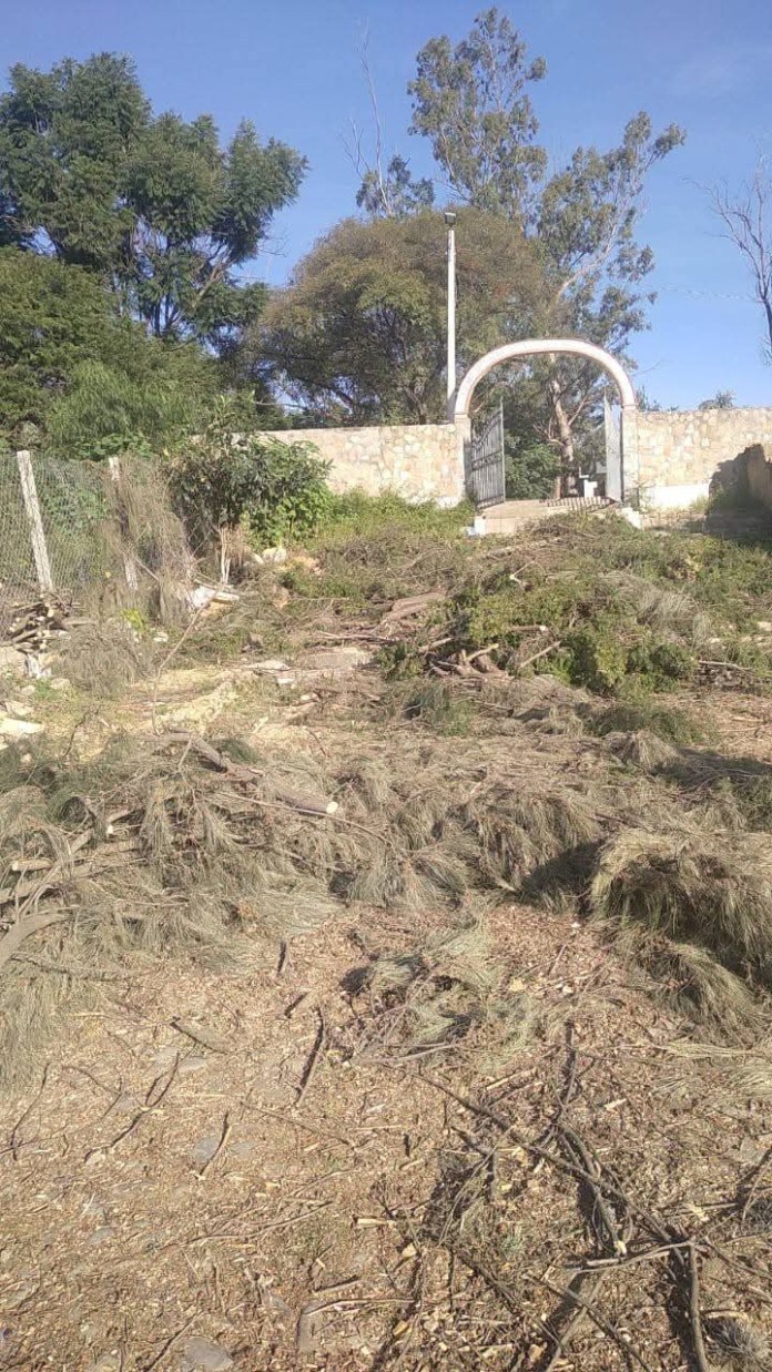 Gobernación de Tarija intensifica medidas contra la tala indiscriminada de árboles en San Lorenzo