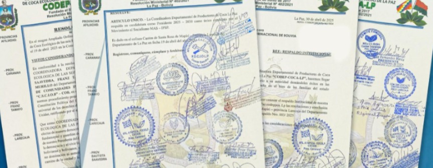 Presidente de Bolivia, Luis Arce, llama a la unidad y rechaza la desinformación en discurso a productores de coca