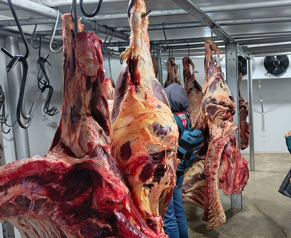 El Gobierno boliviano evalúa la importación de carne bovina de Argentina para abastecer el mercado nacional.