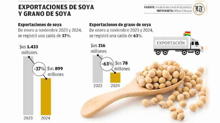Bolivia libera exportación de soya tras exitosa campaña agrícola