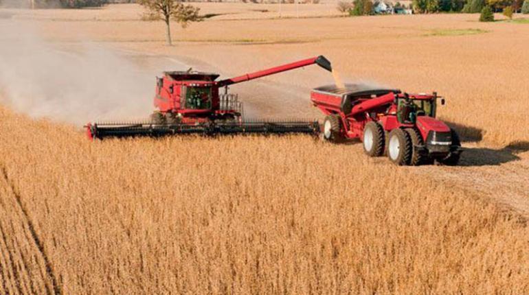 El Gobierno nacional de Bolivia abre la exportación de soya para impulsar la economía. El Gobierno nacional de Bolivia abre la exportación de soya para impulsar la economía.