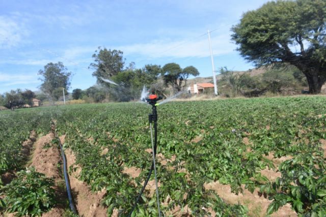 Caraparí impulsa agricultura con sistema de riego de Bs 2.1 millones