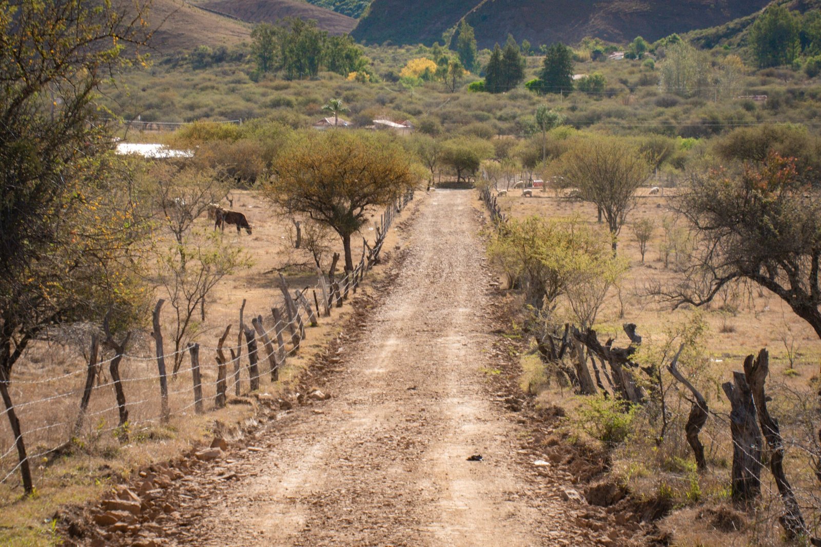 Pampa Redonda, Tarija: Mejoran 17 km de caminos clave para producción