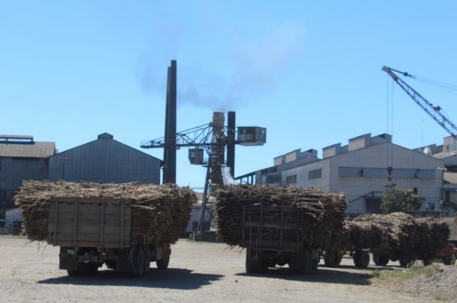 Productores de caña de azúcar de Bermejo evalúan exportar a Argentina ante conflicto con IABSA