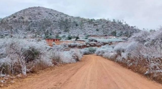Heladas y Nevadas Afectarán Varios Departamentos Bolivianos; Alertas Amarillas por Vientos Fuertes