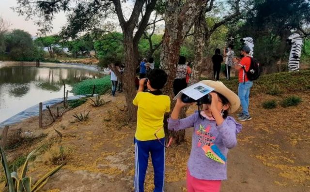 Bioparque lanza programa vacacional con avistamiento de aves y charlas ambientales