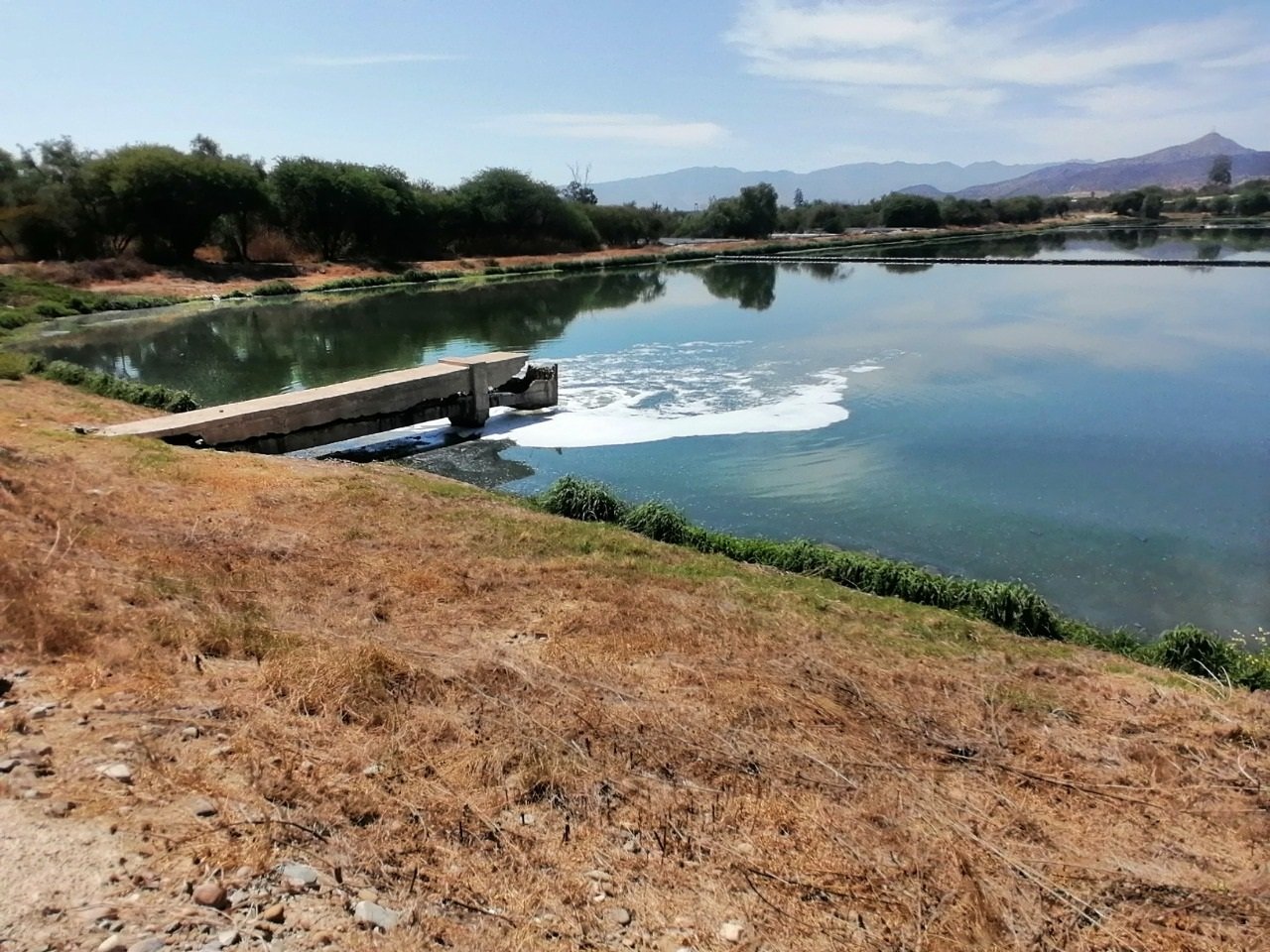 Cosaalt retoma saneamiento de lagunas de oxidación en San Luis con gestión directa