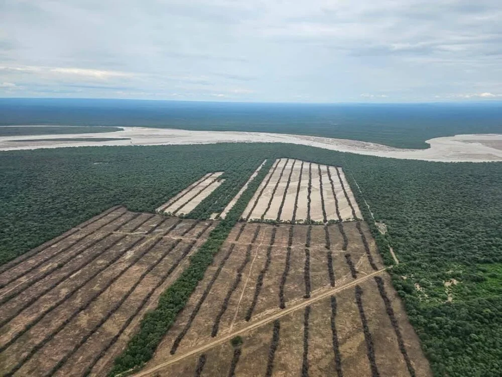 Desmonte en La Vertiente avanza sin control oficial ante preocupación ambiental en el Chaco