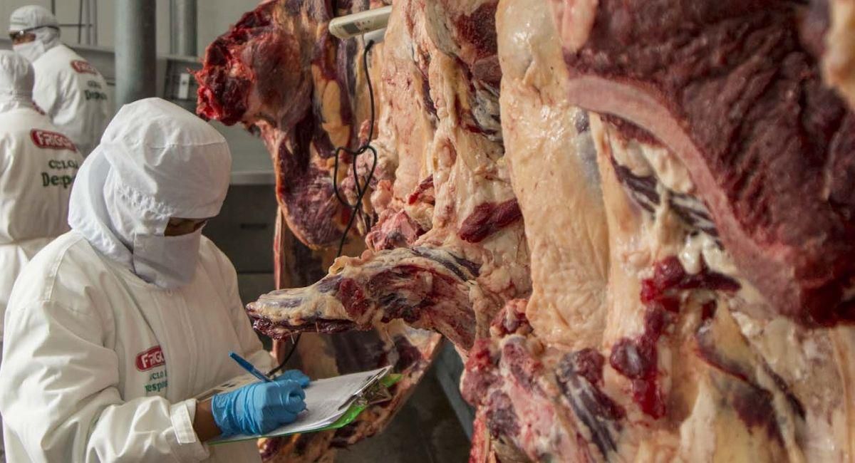 Restricción exportación carne genera pérdida 60 millones dólares 100 días