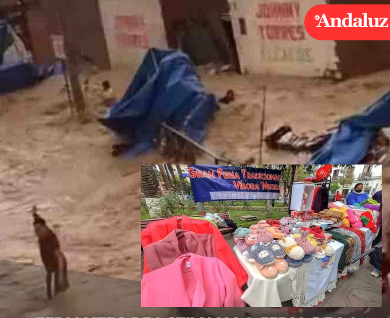 Feriantes de la Víbora Negra en Tarija reactivan su mercado tras un año de inundaciones Feriantes de la Víbora Negra en Tarija reactivan su mercado tras un año de inundaciones