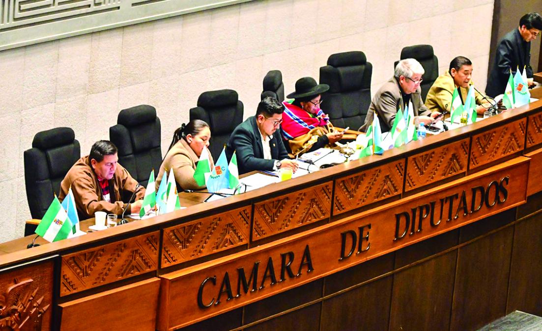 ALP dividida tras balotaje busca pactos y consensos para gobernar